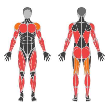 Full Body Practice affected muscles
