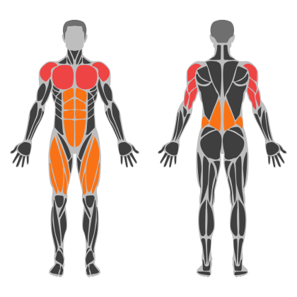 Triceps and Chest affected muscles