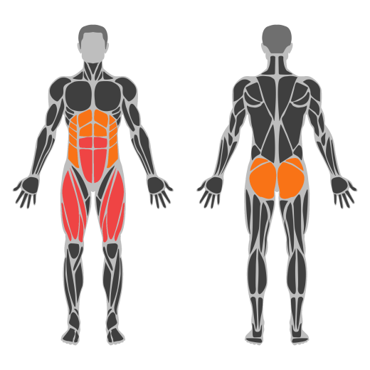 Sissy Squat affected muscles