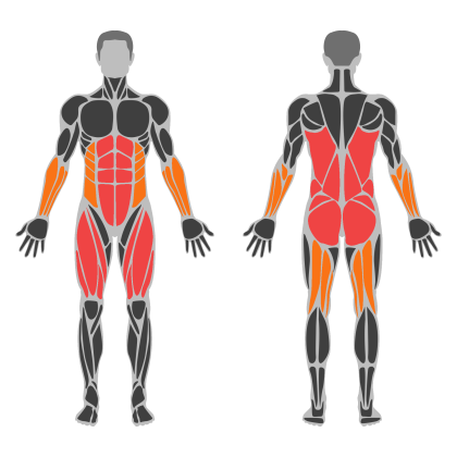 Legs and Core affected muscles