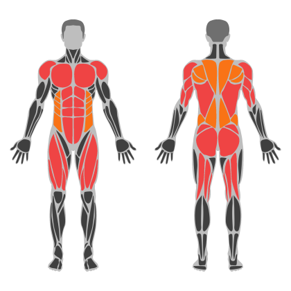 Full Body Power affected muscles