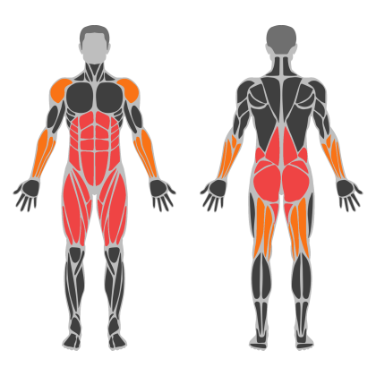 Lower Strength affected muscles