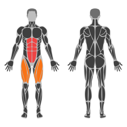 Scissors affected muscles