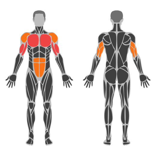 Lean Planche affected muscles