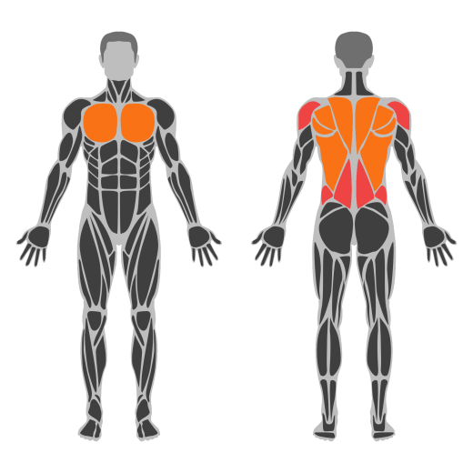 World’s Greatest Stretch affected muscles