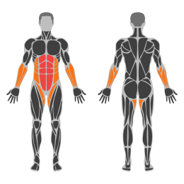 Hanging Knee To Chest affected muscles