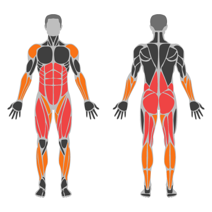 Lower Body and Glutes affected muscles