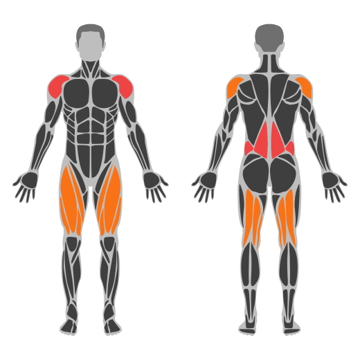 Clean and Jerk affected muscles