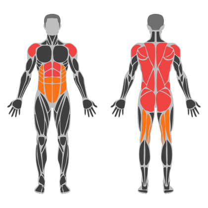 Full Body Strength affected muscles