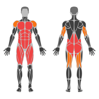 Legs affected muscles