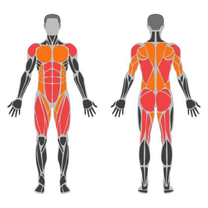 Conditioning Circuit affected muscles