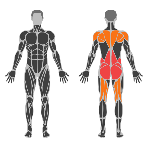 Superman affected muscles