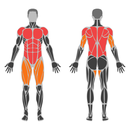 Core and Back affected muscles