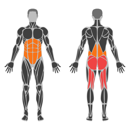 Single Leg Romanian Deadlift affected muscles