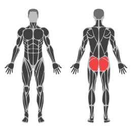 Band Hip Abduction affected muscles