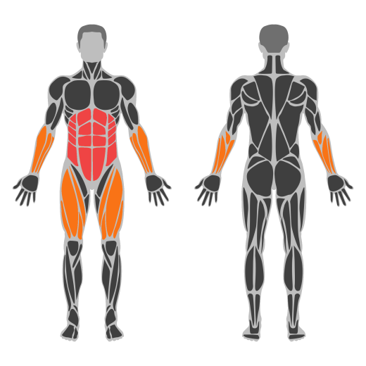 Hanging Scissors Kicks affected muscles