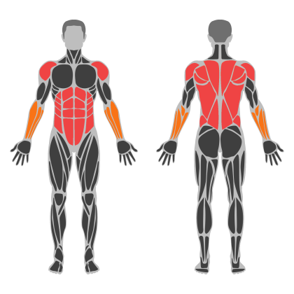 Core and Back affected muscles