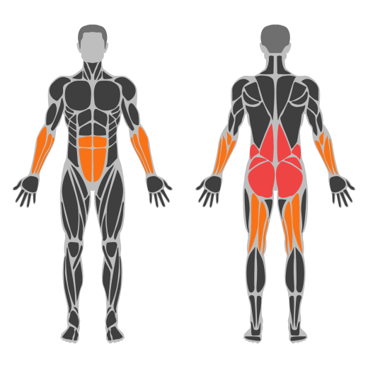 Dumbbell Straight Leg Deadlift affected muscles