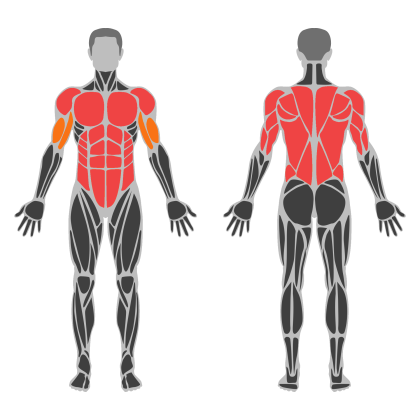 Upper Strength affected muscles