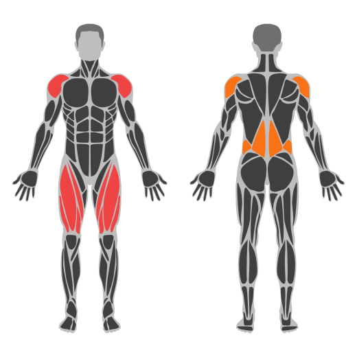 Potisak bučicom affected muscles
