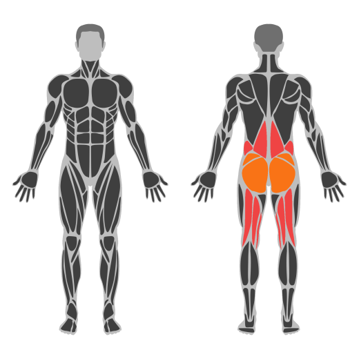 Single-Leg Deadlift affected muscles