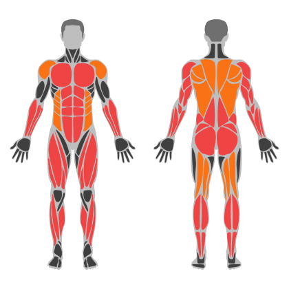 Full Body Technique affected muscles