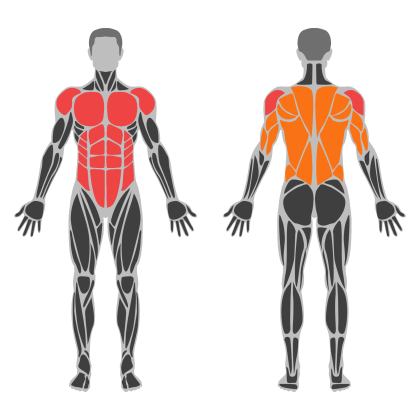 Core and Back affected muscles