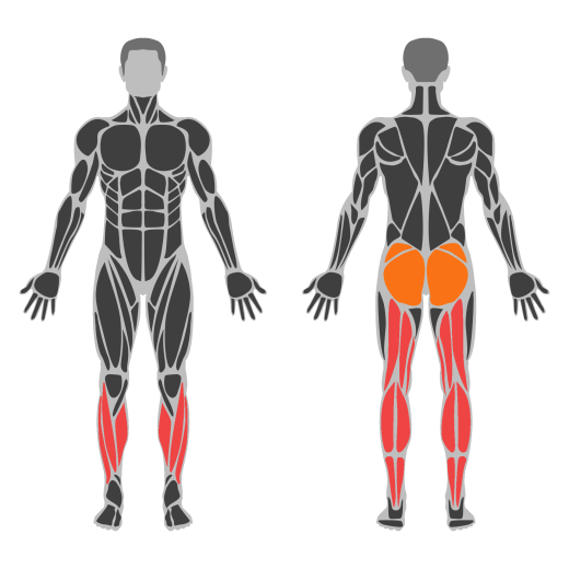 Downward Dog affected muscles