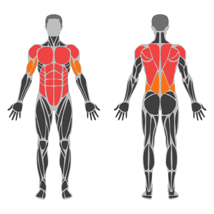 Posture Strength affected muscles