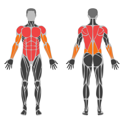 Posture Strength affected muscles