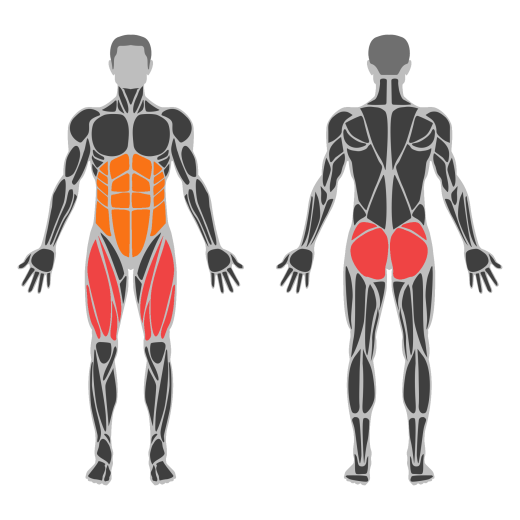 Hip Thrust Smith Machine affected muscles