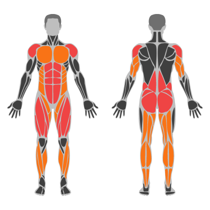 Conditioning Circuit affected muscles