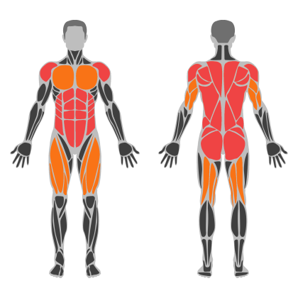 Full Body Strength affected muscles