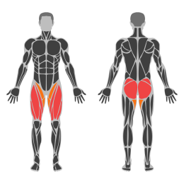 Box Jumps affected muscles