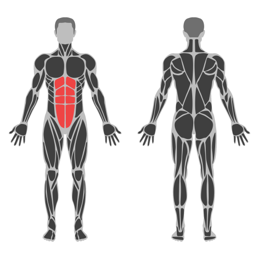 Hanging Knees to Elbows Waist affected muscles