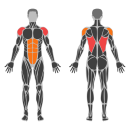 Medicine Ball Slam affected muscles