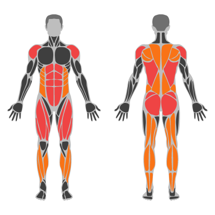 Conditioning Circuit affected muscles
