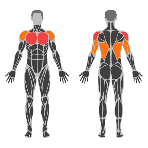 Ring Muscle Up affected muscles