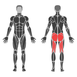 Knee To Chest Stretch affected muscles