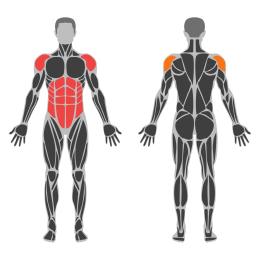 Weighted Woodchopper affected muscles